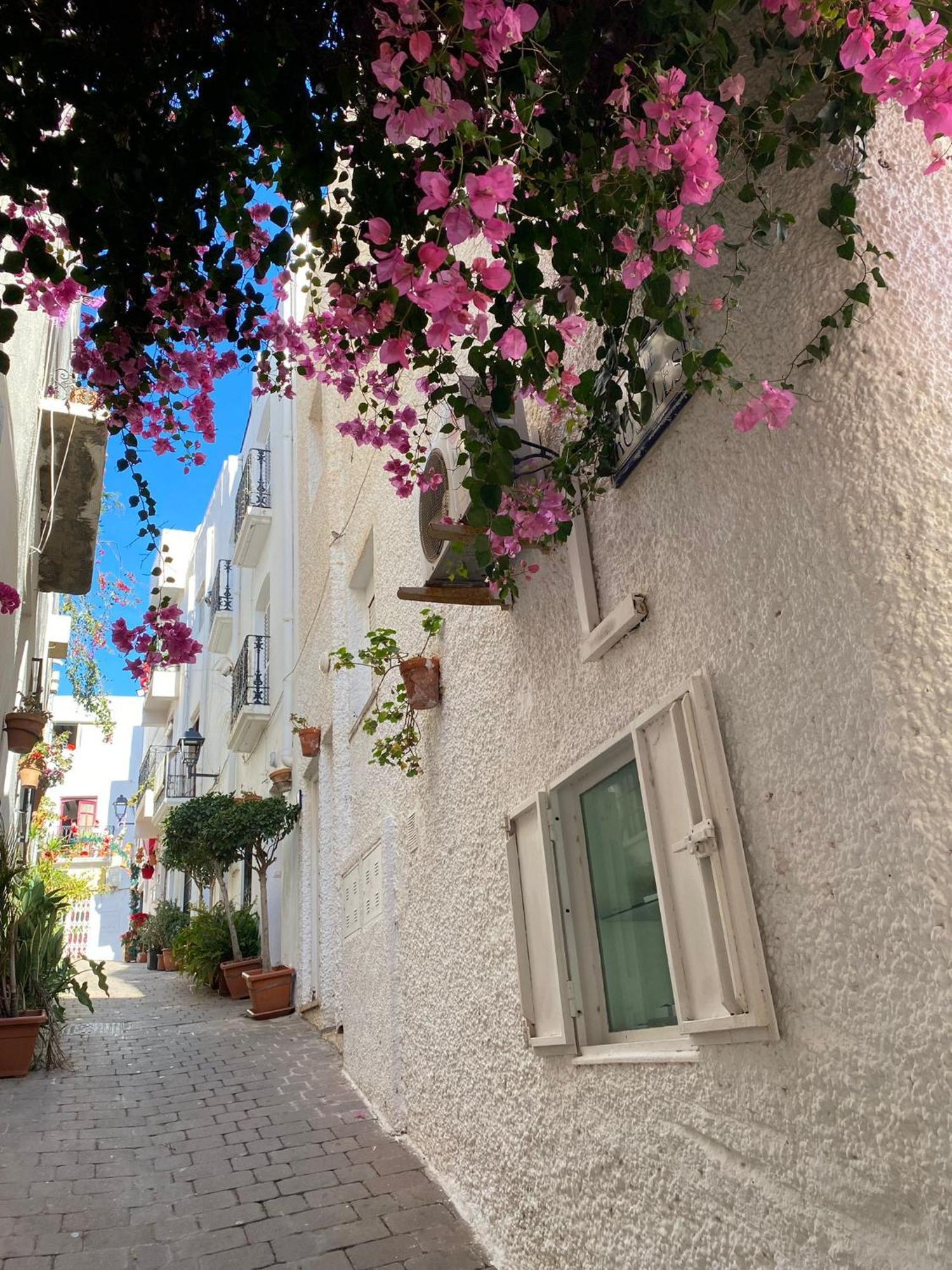 Aura Mar Mojacar Apartment Bagian luar foto